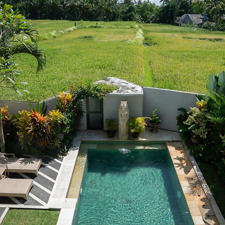 Ananditha Villa Ubud Ricefield Views Extérieur photo