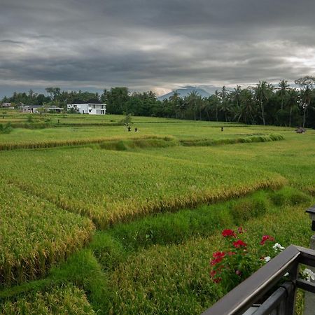 Ananditha Villa Ubud Ricefield Views Extérieur photo