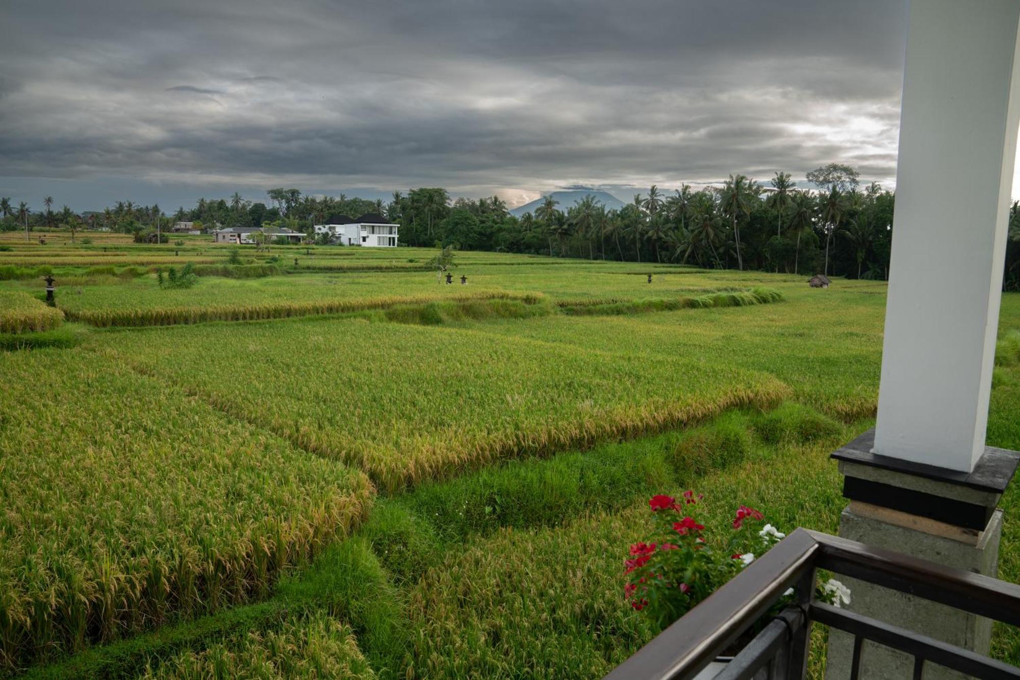 Ananditha Villa Ubud Ricefield Views Extérieur photo